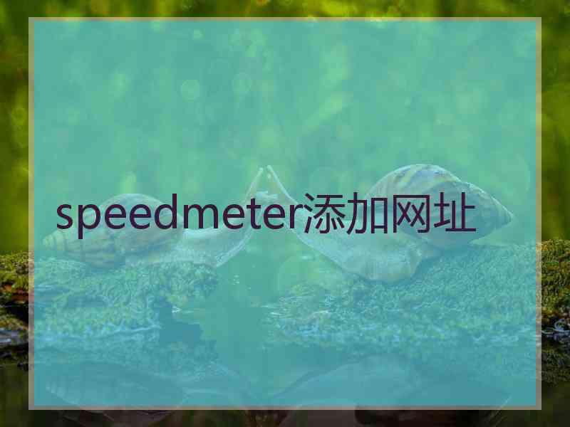 speedmeter添加网址