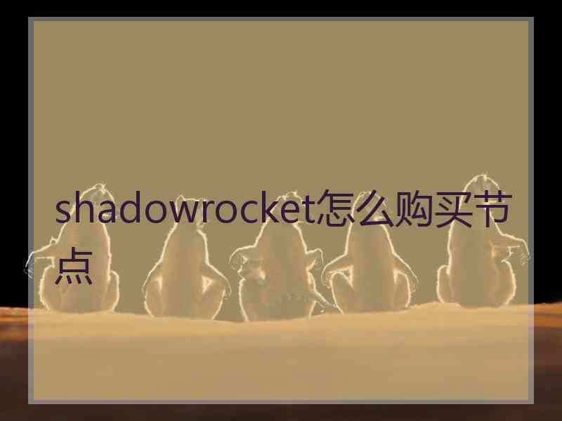 shadowrocket怎么购买节点