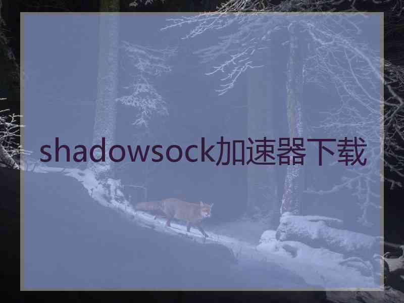 shadowsock加速器下载