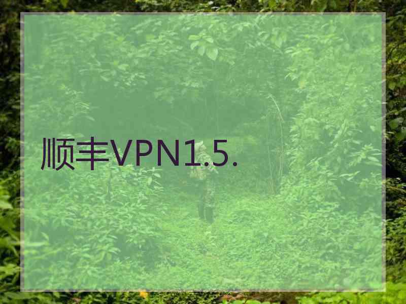 顺丰VPN1.5.