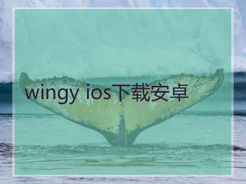 wingy ios下载安卓