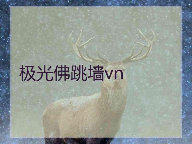 极光佛跳墙vn