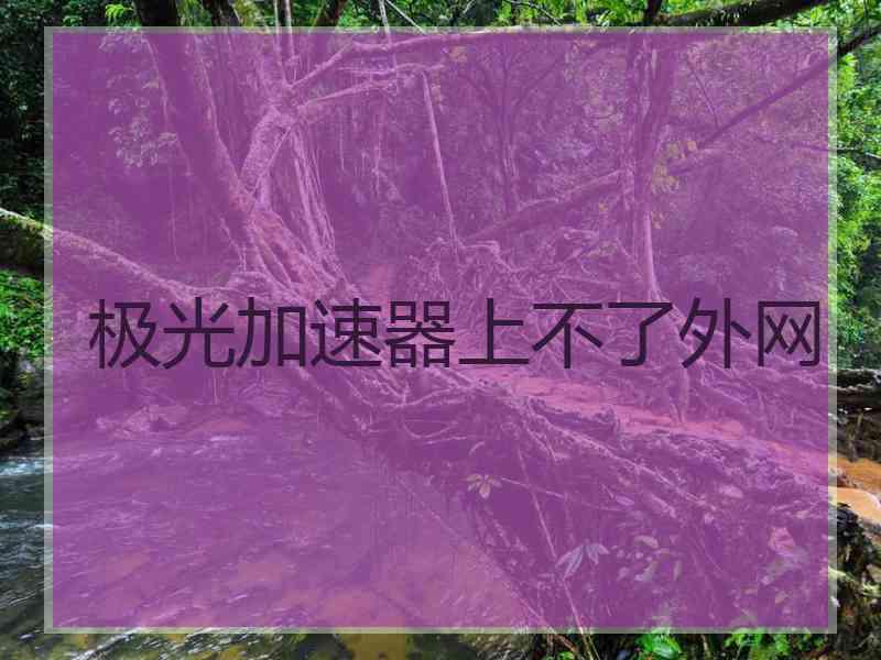 极光加速器上不了外网