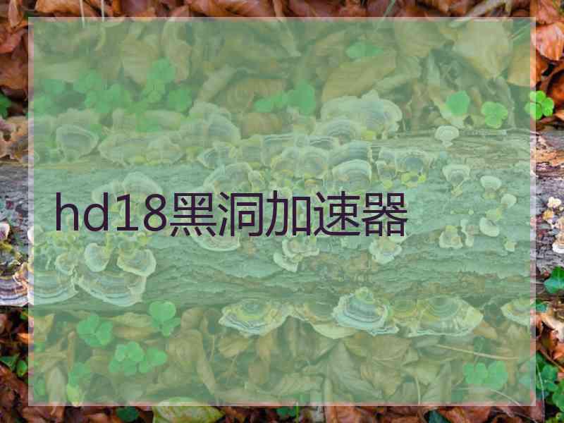 hd18黑洞加速器