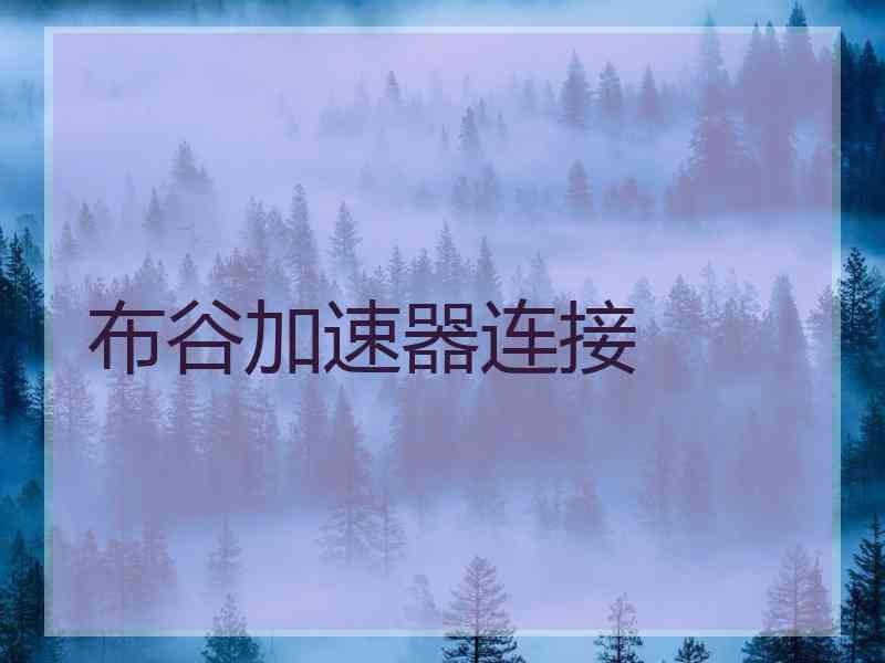 布谷加速器连接