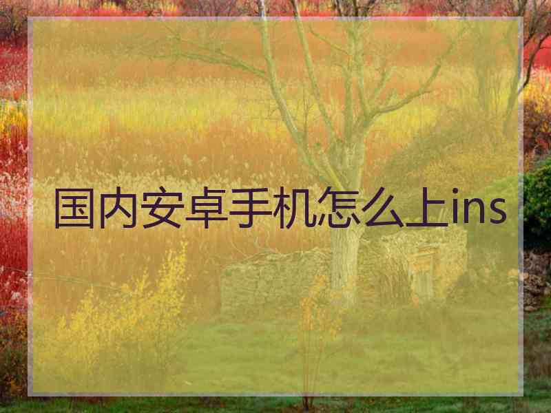 国内安卓手机怎么上ins
