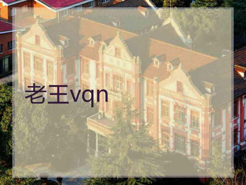 老王vqn