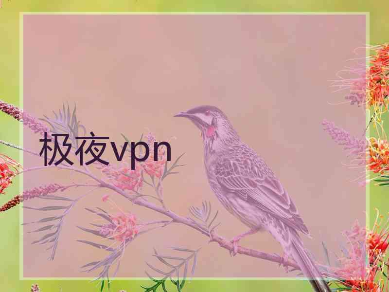 极夜vpn