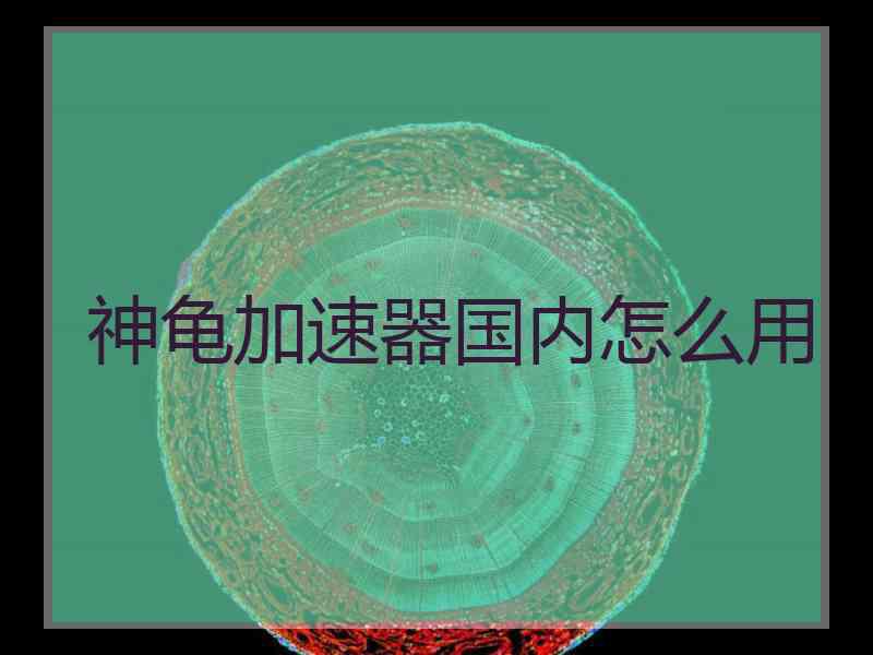 神龟加速器国内怎么用
