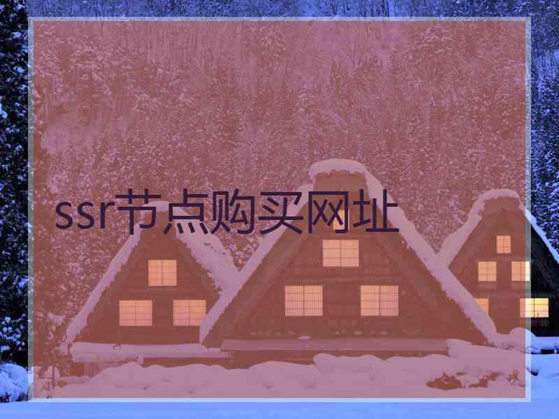 ssr节点购买网址
