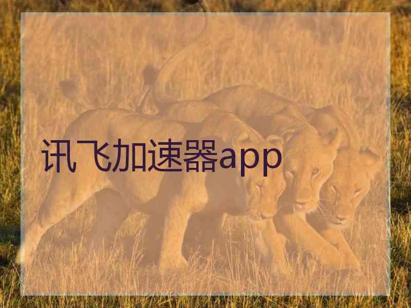 讯飞加速器app