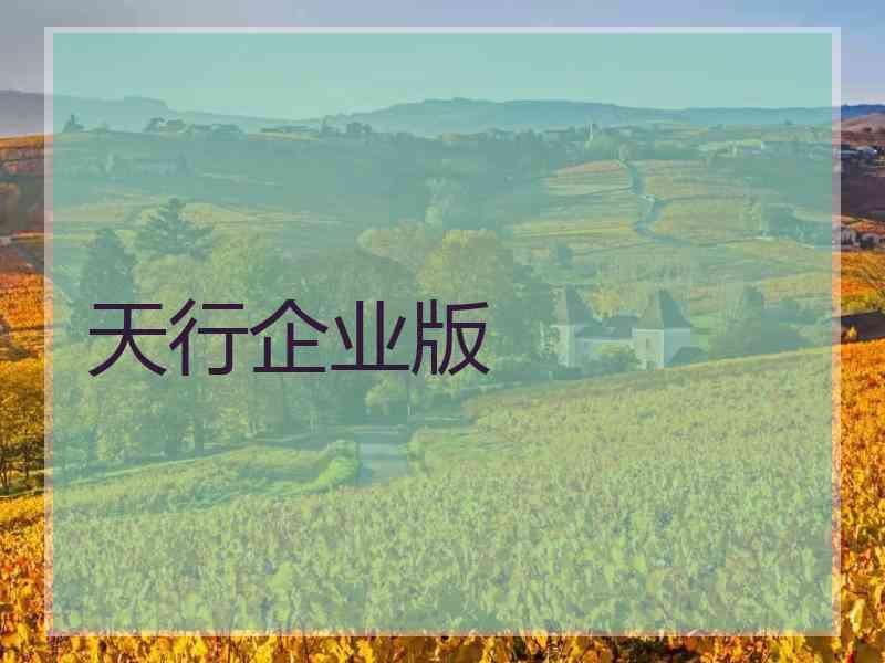 天行企业版