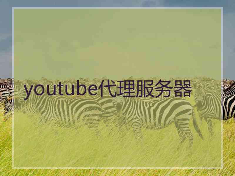 youtube代理服务器