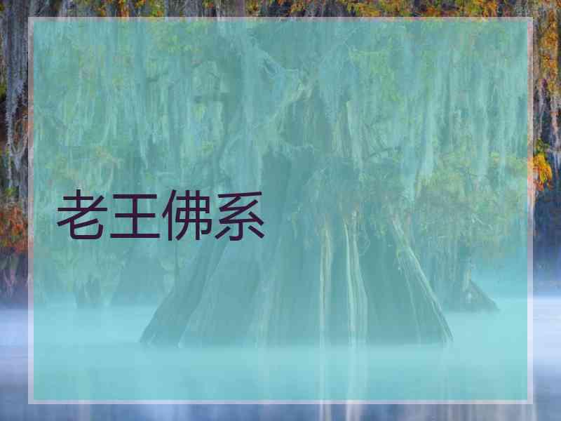 老王佛系