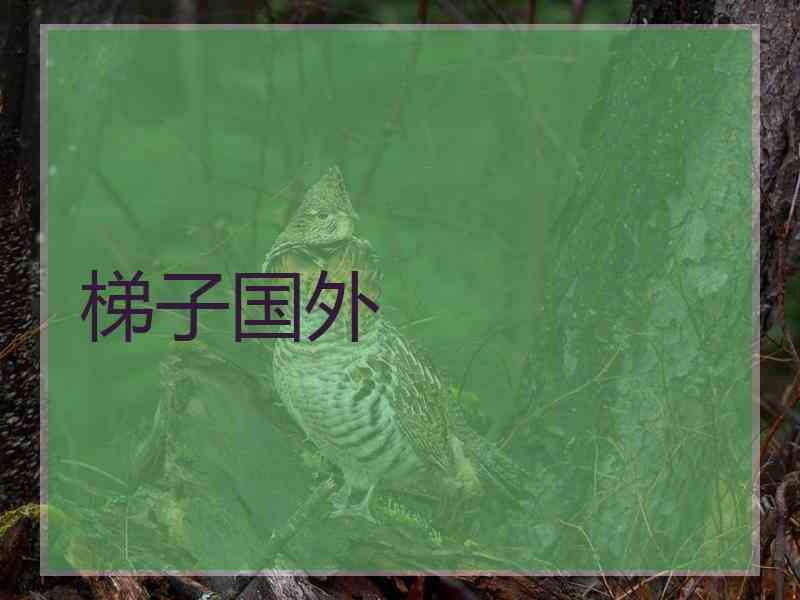 梯子国外
