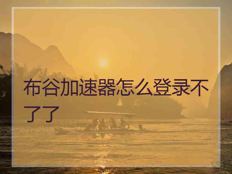 布谷加速器怎么登录不了了