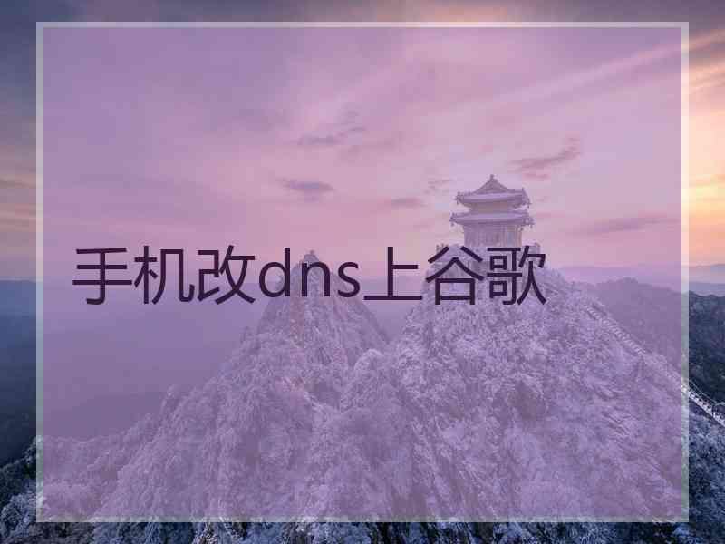 手机改dns上谷歌