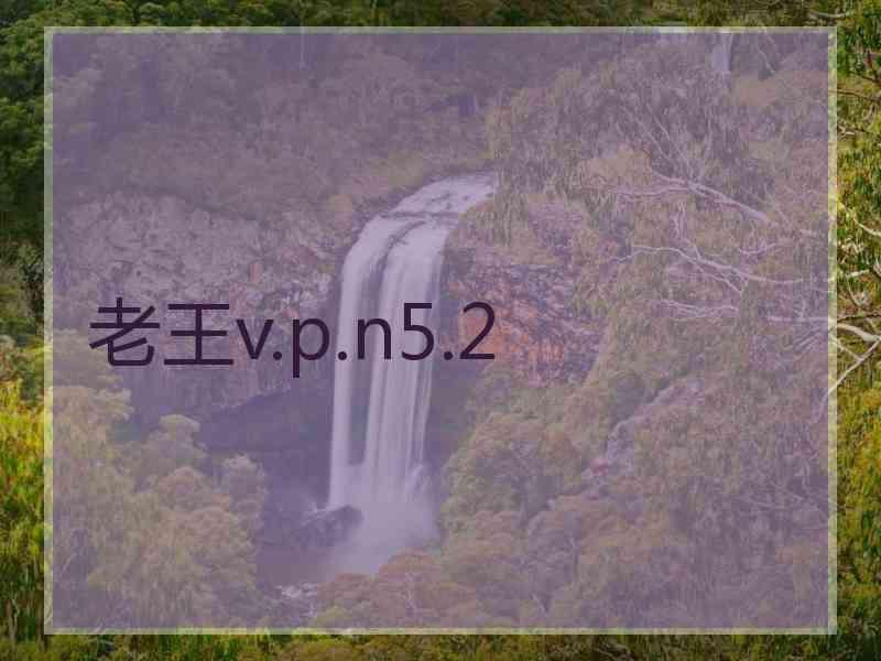 老王v.p.n5.2