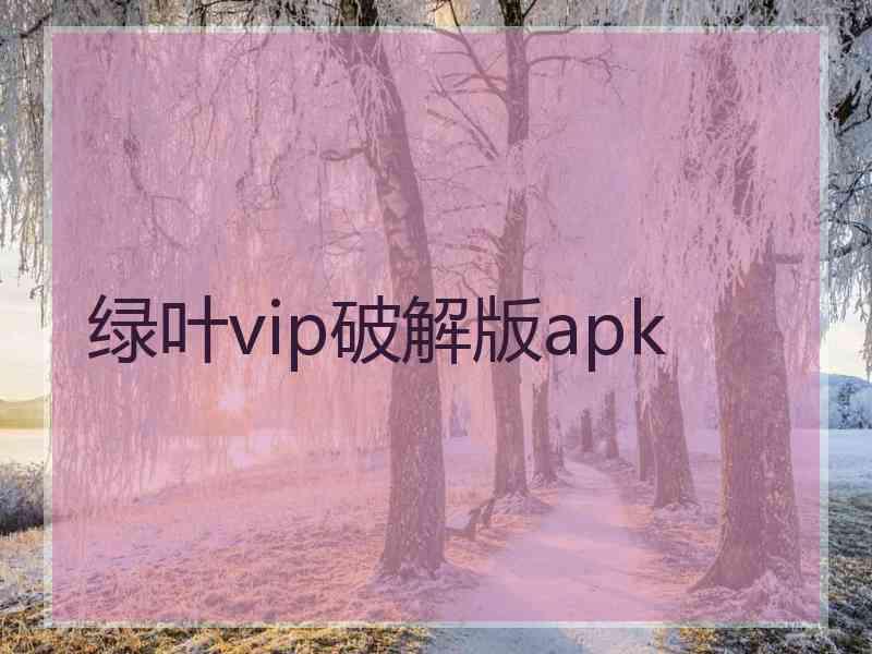 绿叶vip破解版apk