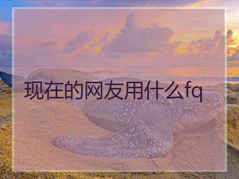 现在的网友用什么fq
