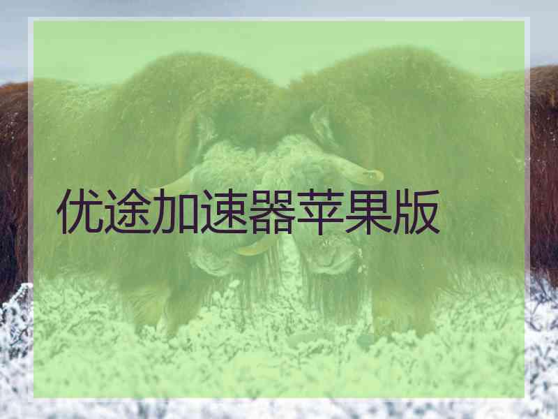 优途加速器苹果版