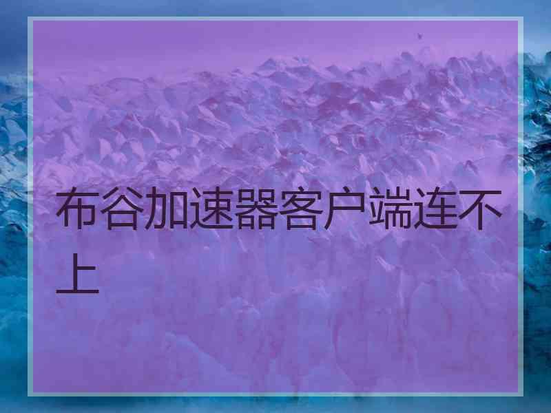 布谷加速器客户端连不上