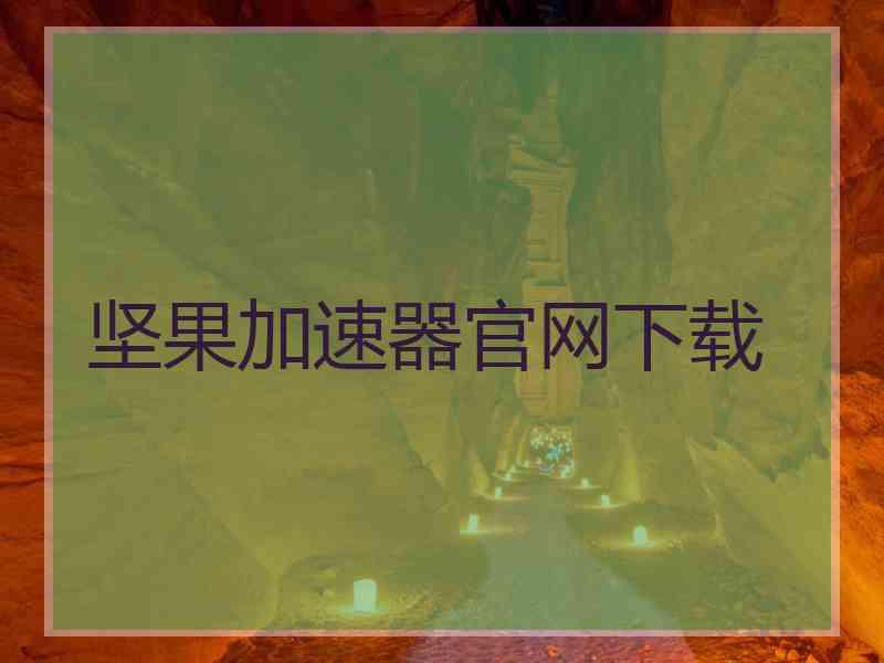 坚果加速器官网下载