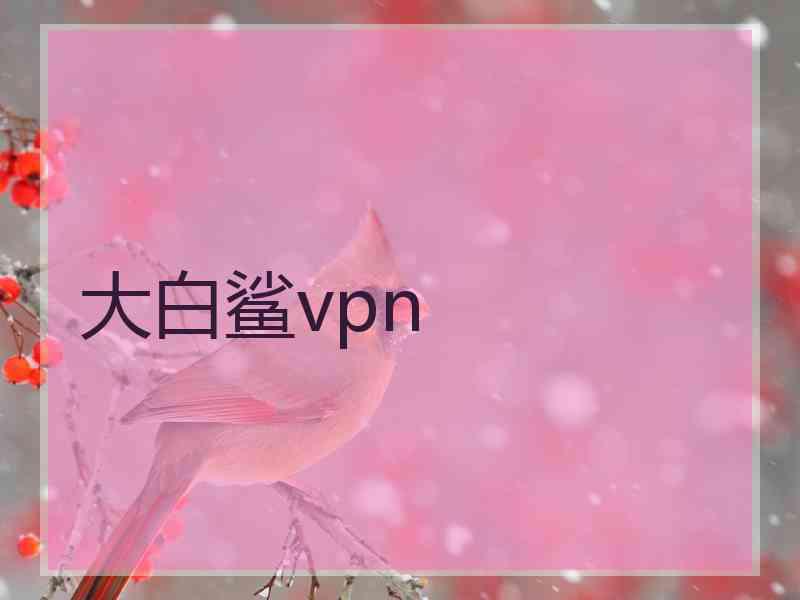 大白鲨vpn