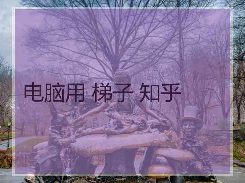 电脑用 梯子 知乎