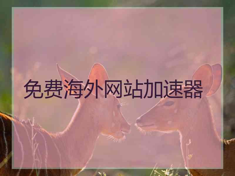 免费海外网站加速器