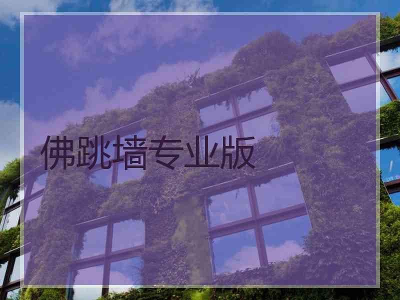 佛跳墙专业版