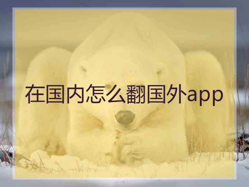 在国内怎么翻国外app