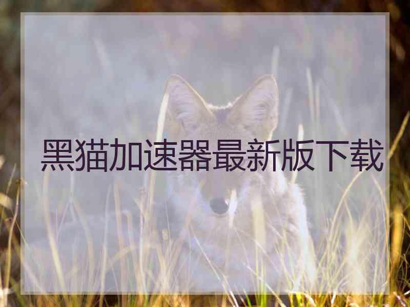 黑猫加速器最新版下载