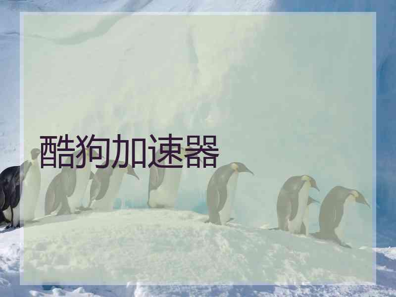 酷狗加速器