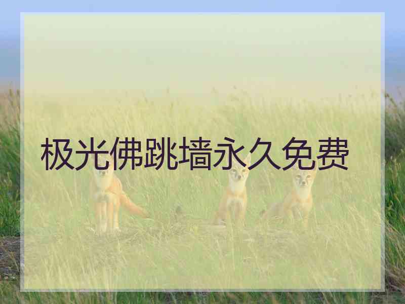 极光佛跳墙永久免费
