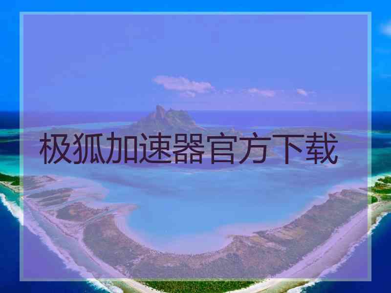 极狐加速器官方下载