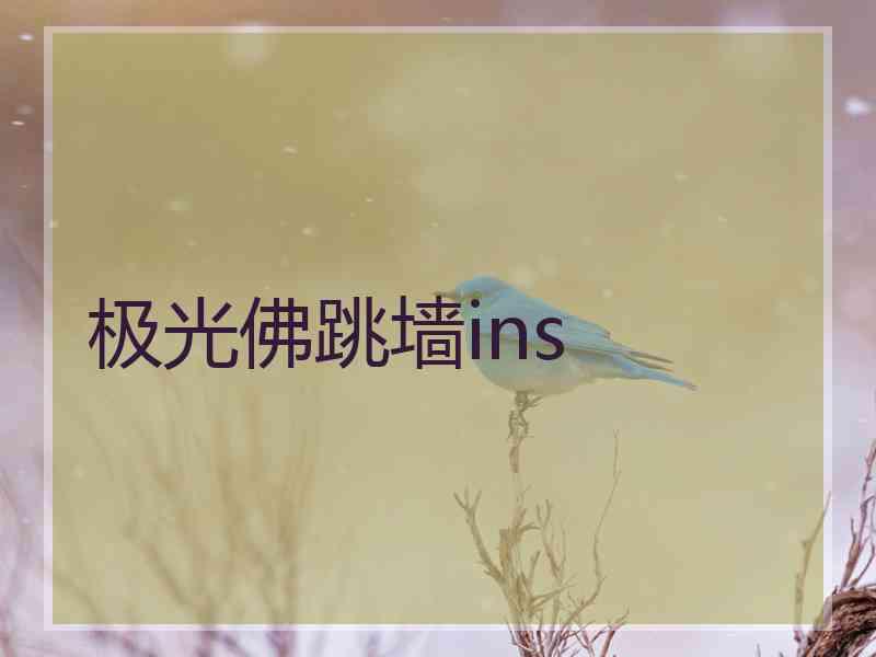 极光佛跳墙ins