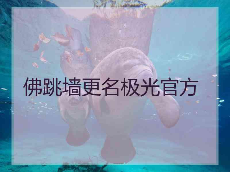 佛跳墙更名极光官方