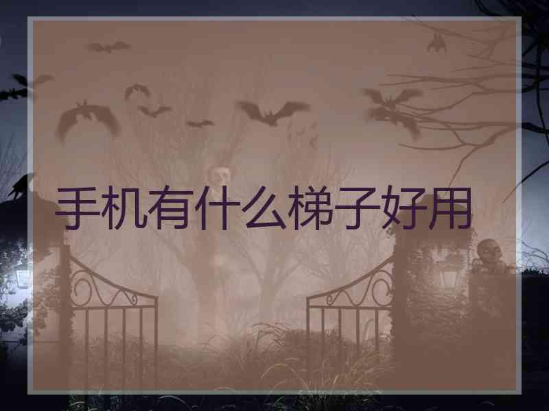 手机有什么梯子好用