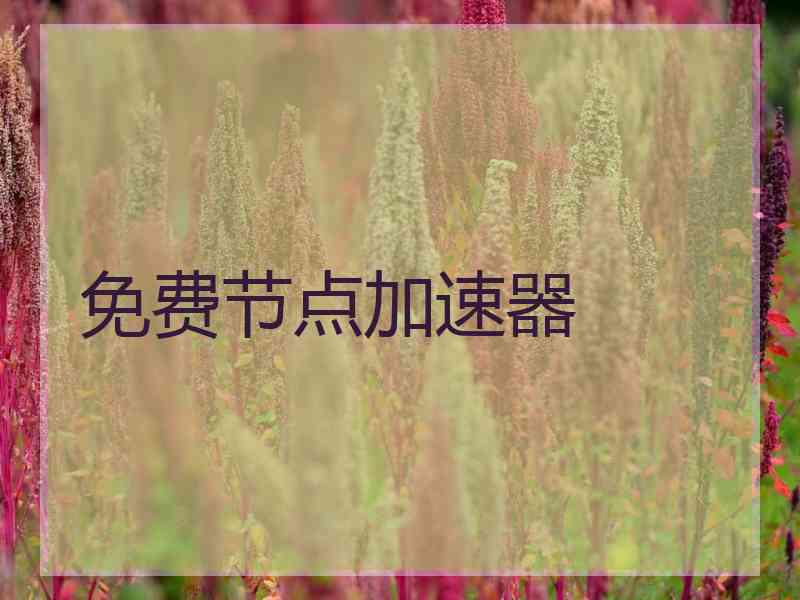 免费节点加速器