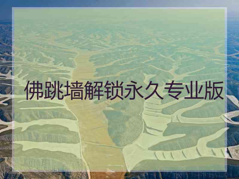 佛跳墙解锁永久专业版