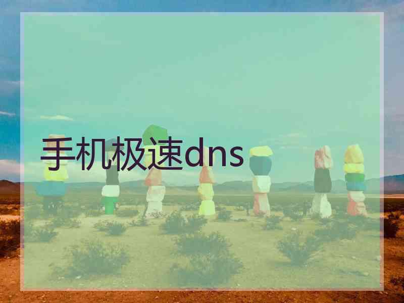手机极速dns