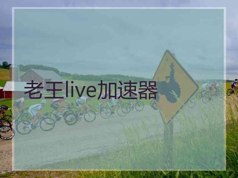 老王live加速器