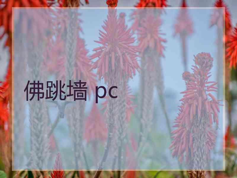 佛跳墙 pc