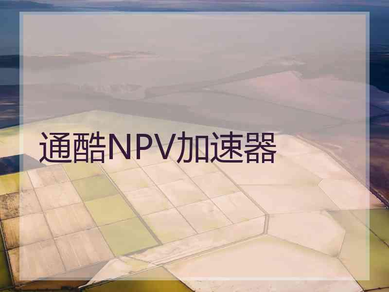 通酷NPV加速器