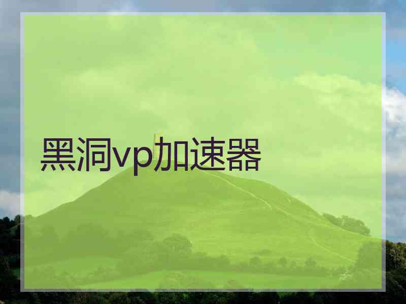 黑洞vp加速器