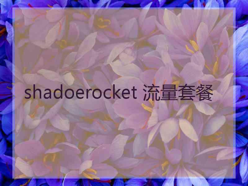 shadoerocket 流量套餐