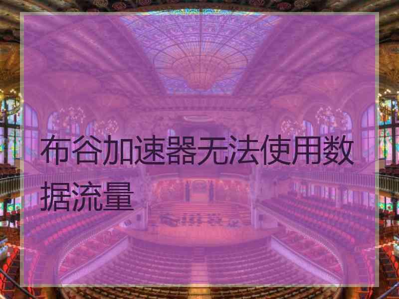 布谷加速器无法使用数据流量