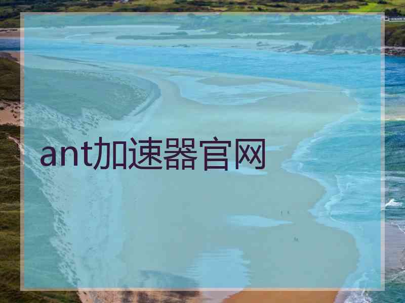 ant加速器官网