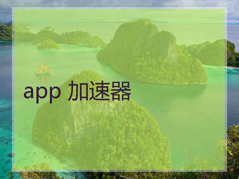 app 加速器